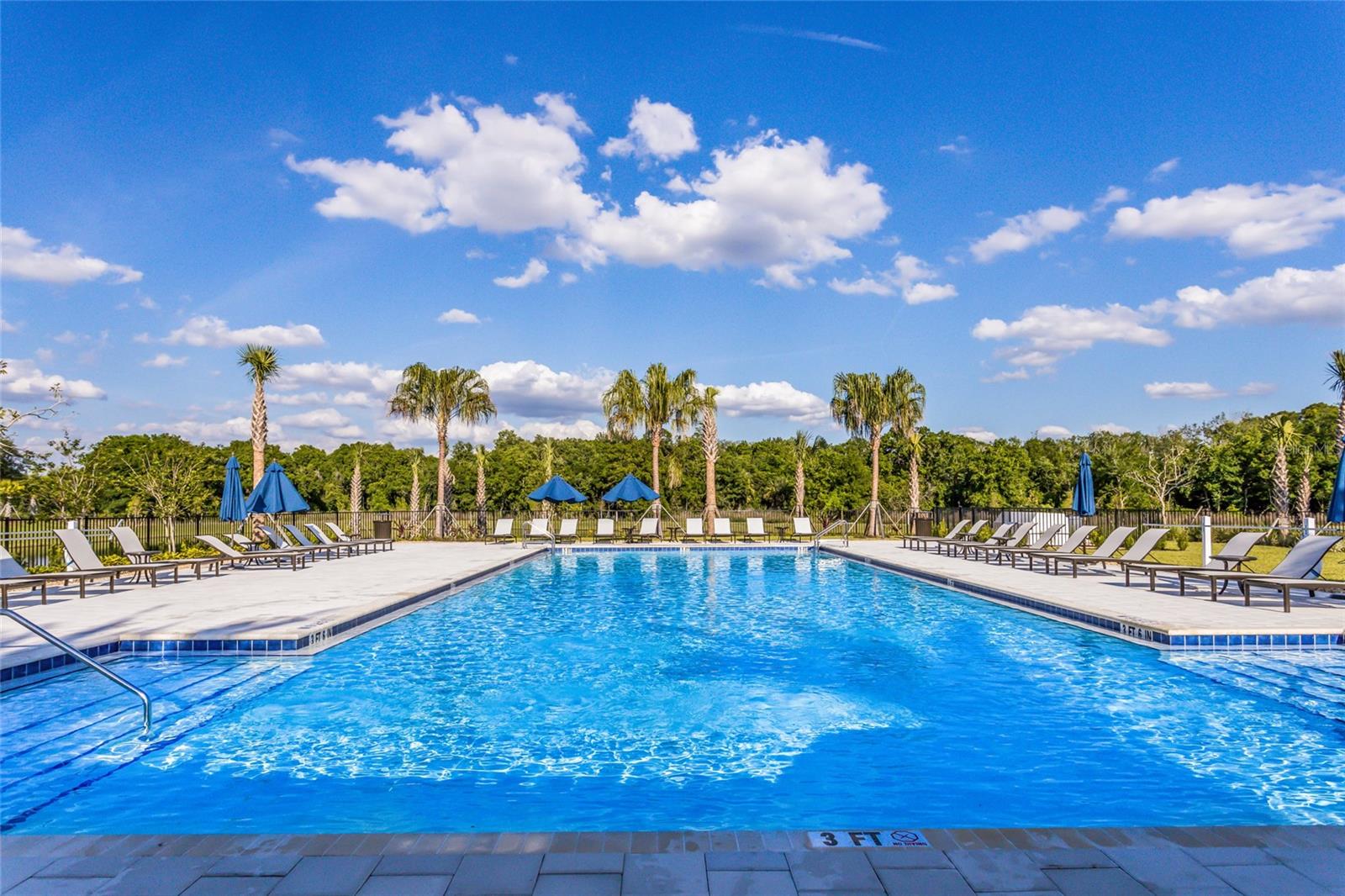 3533 BIG SKY WAY, LAKEWOOD RANCH, FL — photo 81