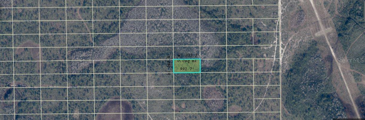 DILL RD, ORLANDO, FL — photo 3