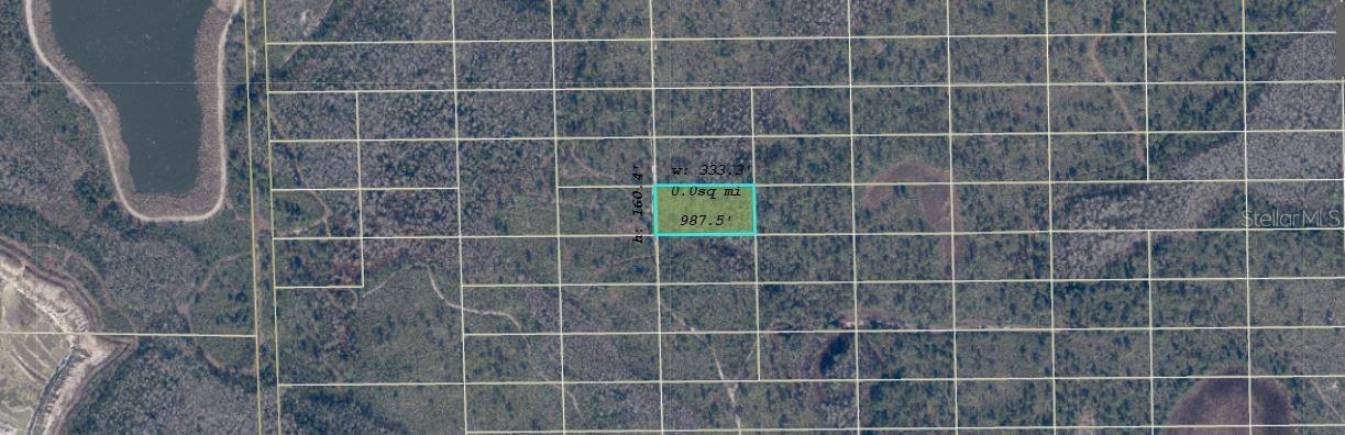 DILL RD, ORLANDO, FL — photo 3