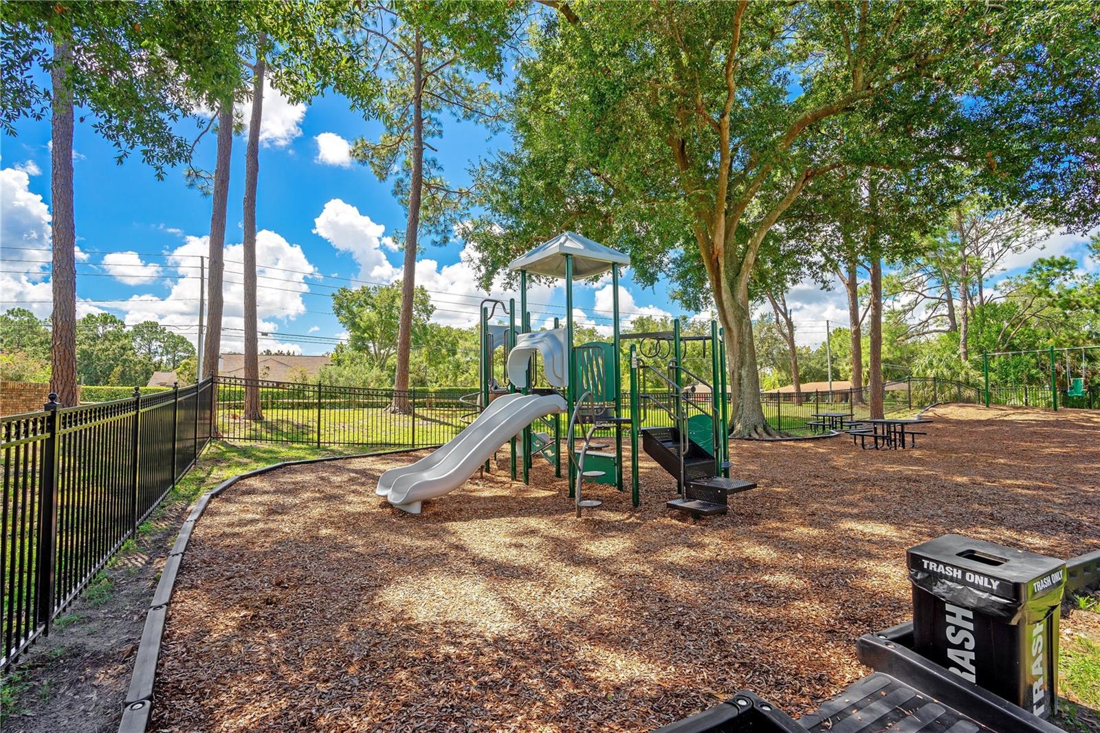11539 LAKE BUTLER BLVD, WINDERMERE, FL — photo 72