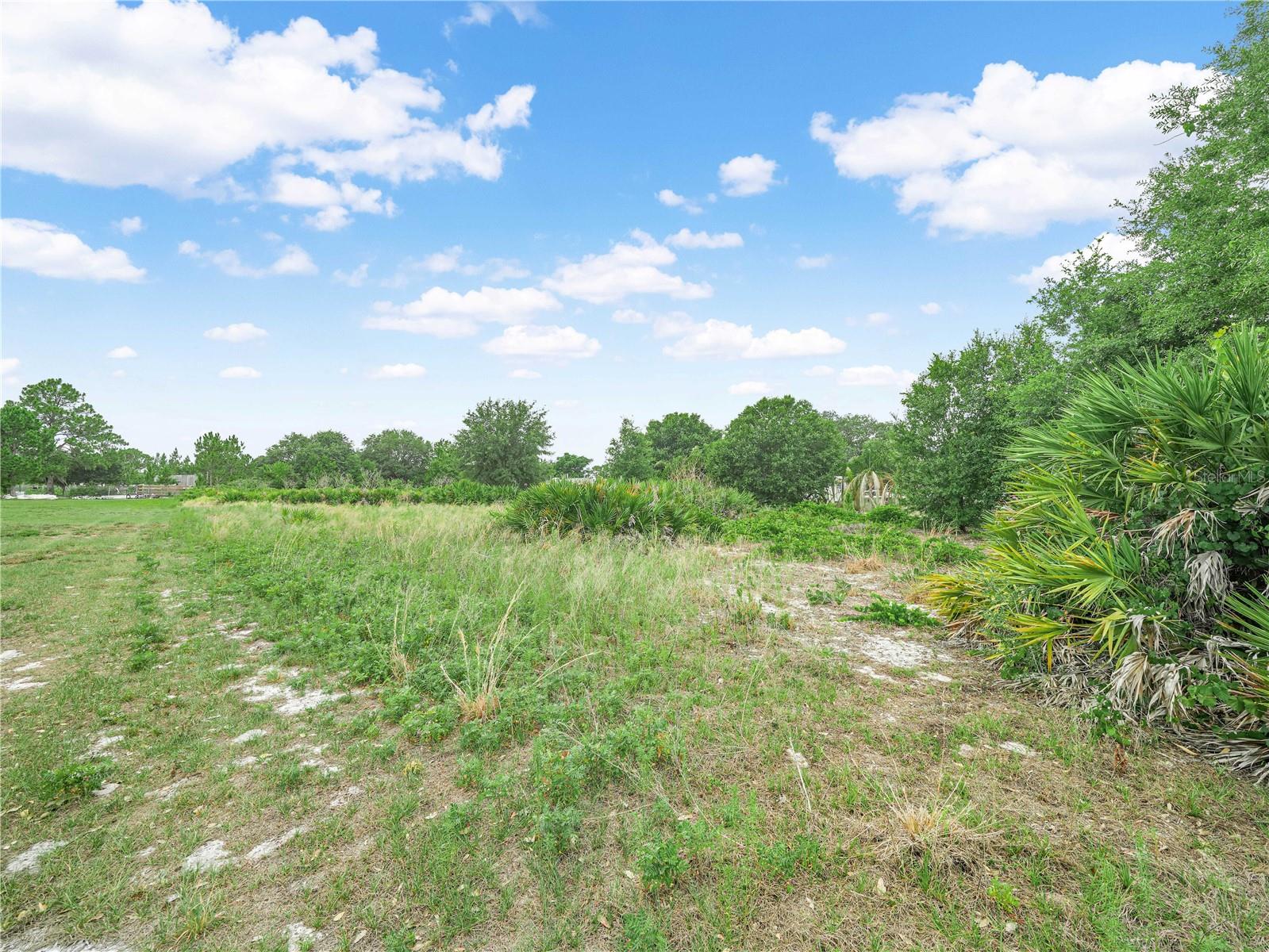 OAKRIDGE DR, FROSTPROOF, FL — photo 4