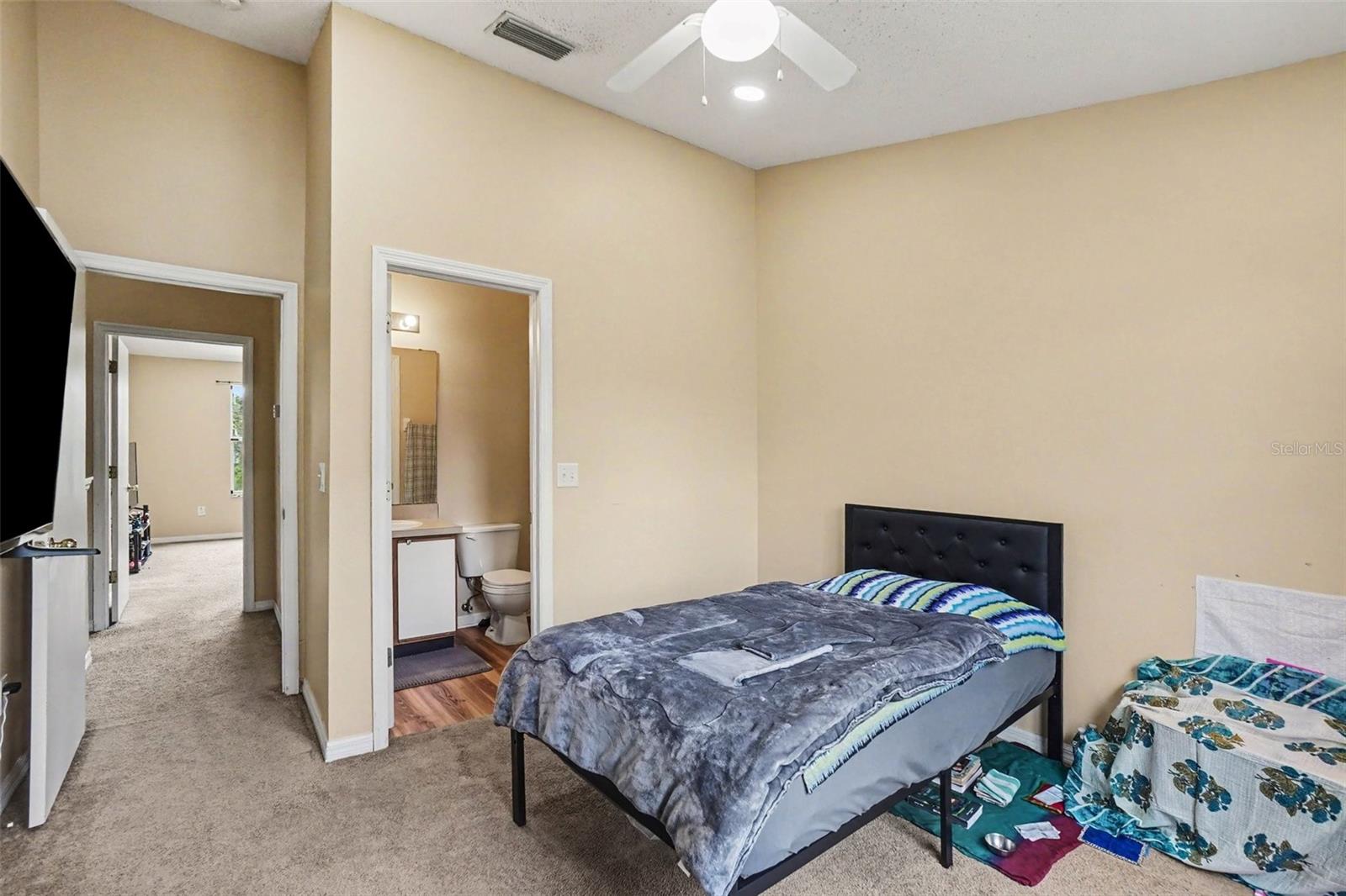 6236 OSPREY LAKE CIR, RIVERVIEW, FL — photo 9