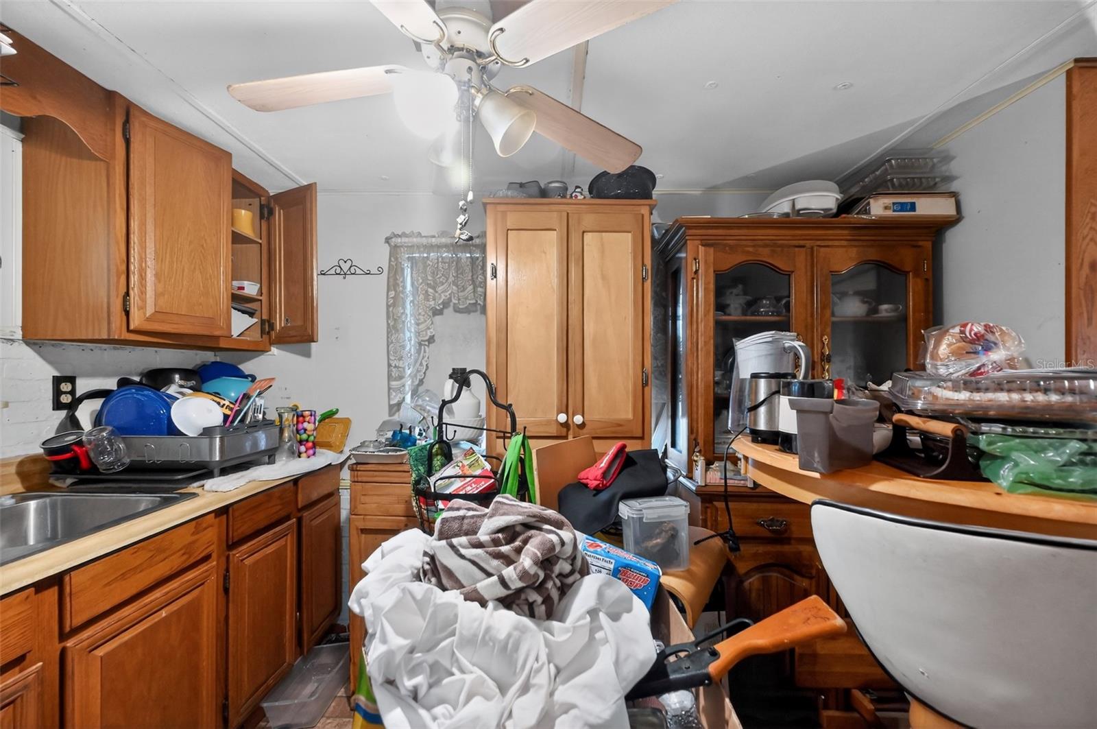 26322 BRAHMA DR, WESLEY CHAPEL, FL — photo 11