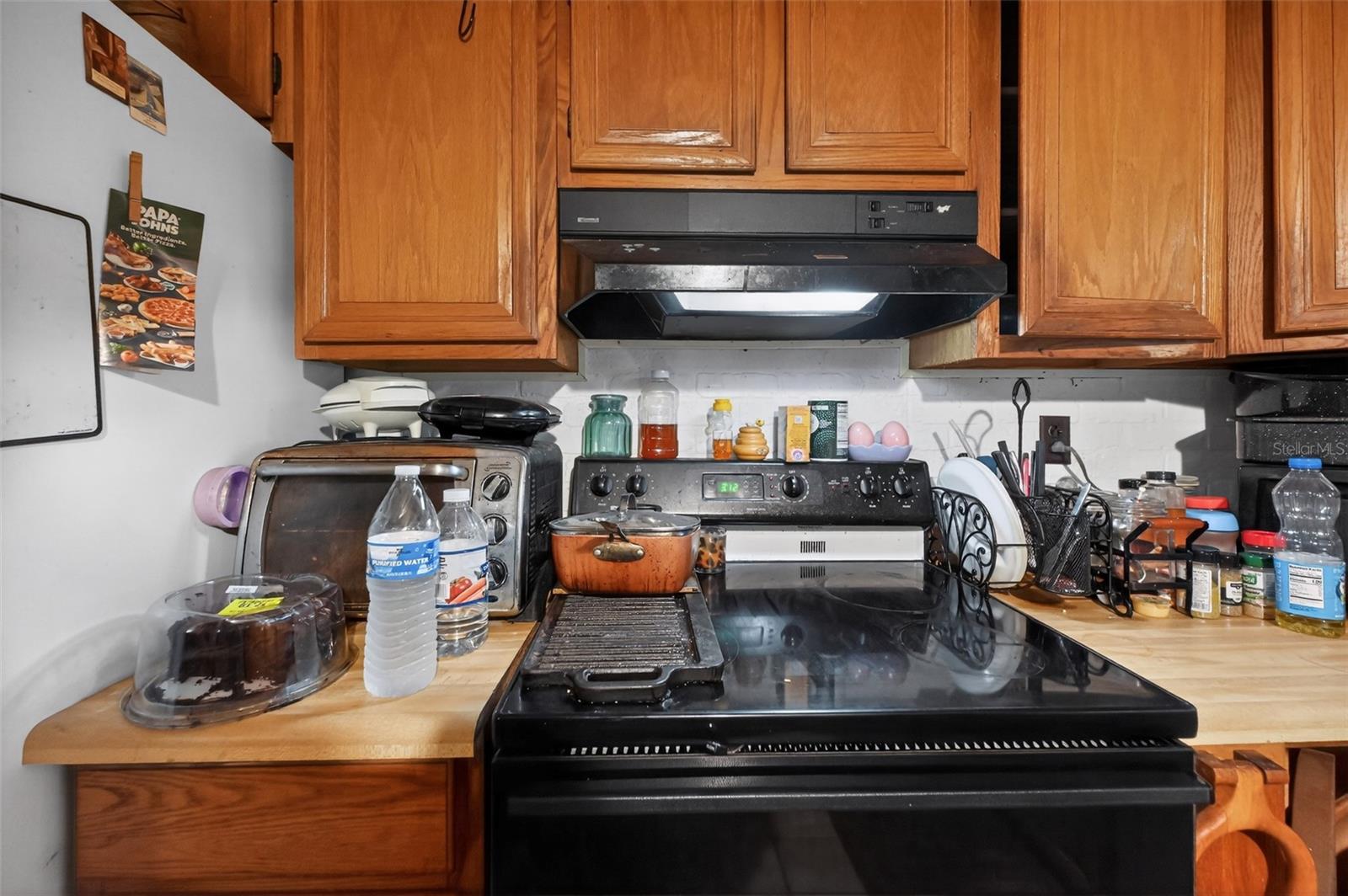 26322 BRAHMA DR, WESLEY CHAPEL, FL — photo 13