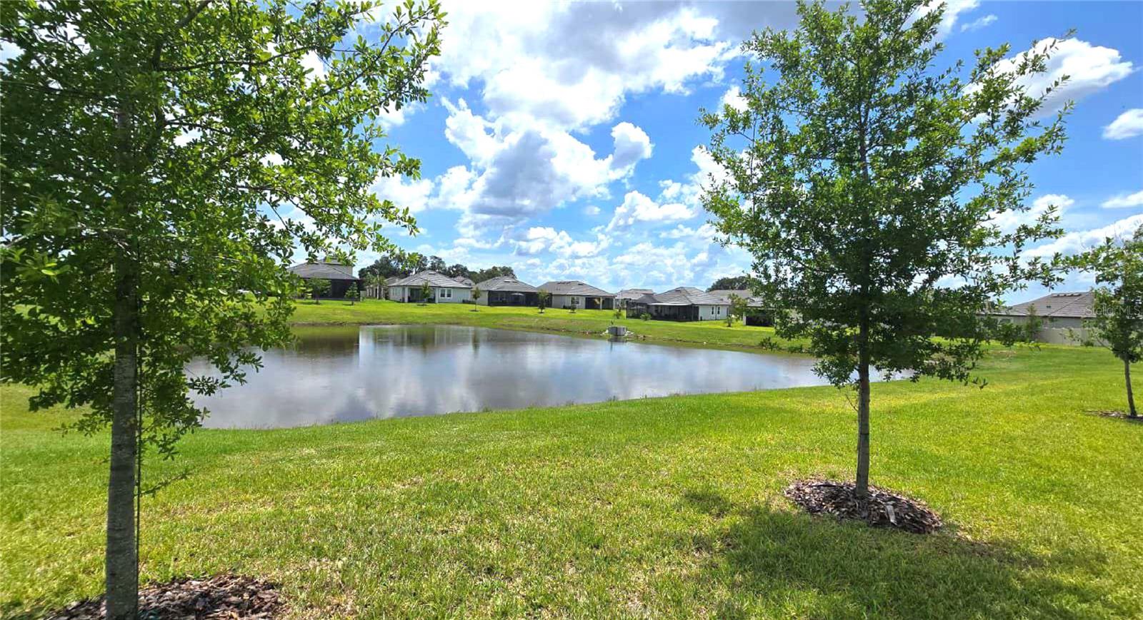 10583 TUPPER CAY DR, SAN ANTONIO, FL — photo 24