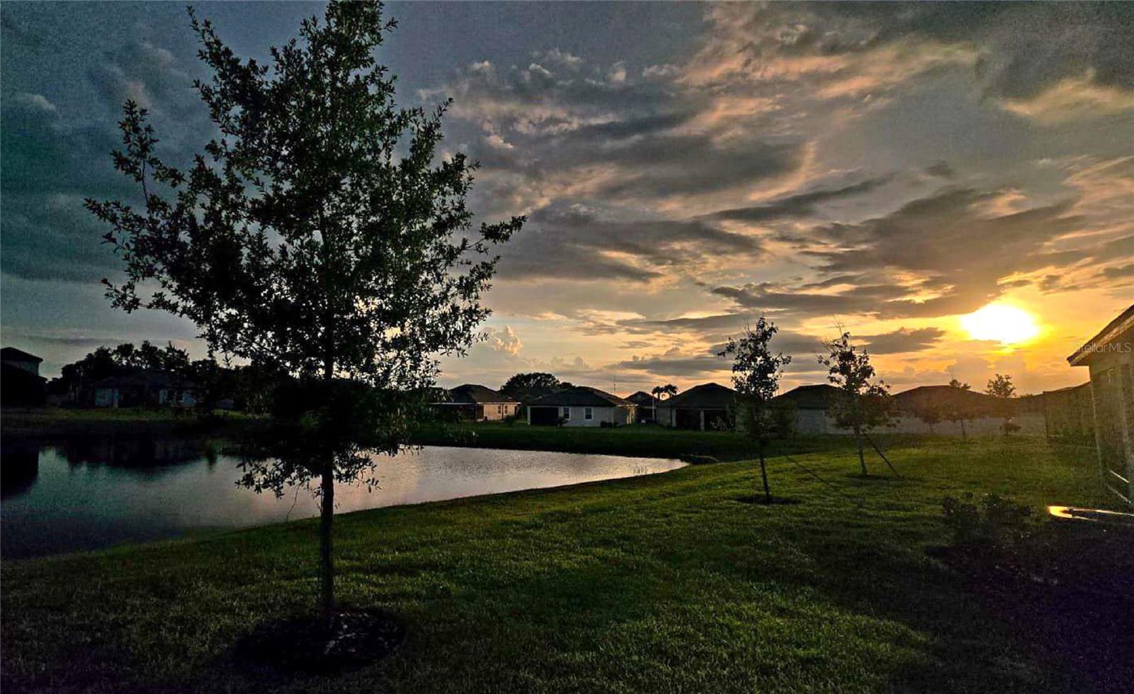 10583 TUPPER CAY DR, SAN ANTONIO, FL — photo 25