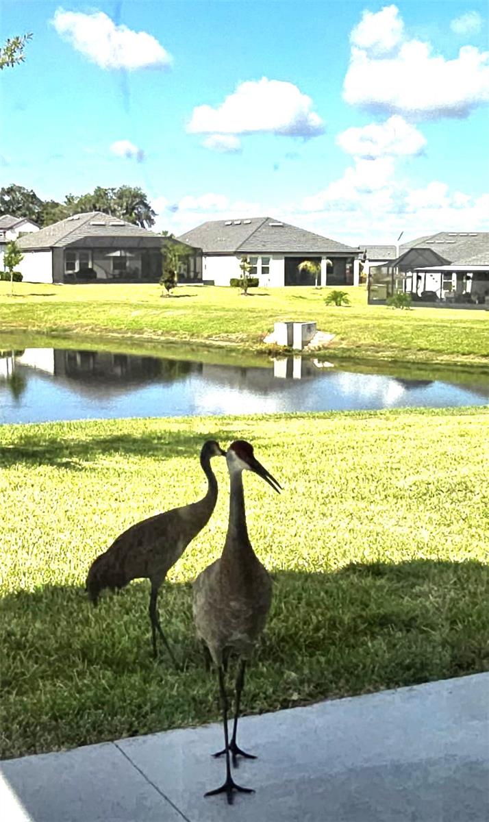 10583 TUPPER CAY DR, SAN ANTONIO, FL — photo 27