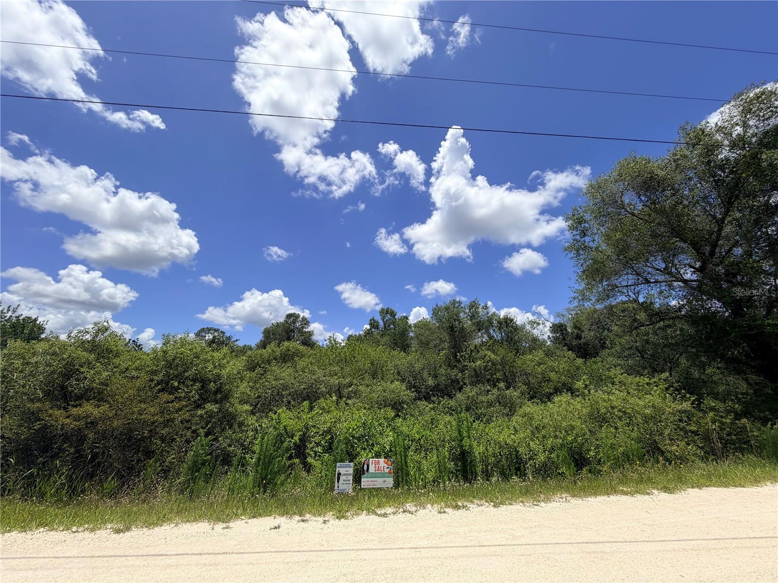 LOT 10 HARDSTONE DR, WEBSTER, FL