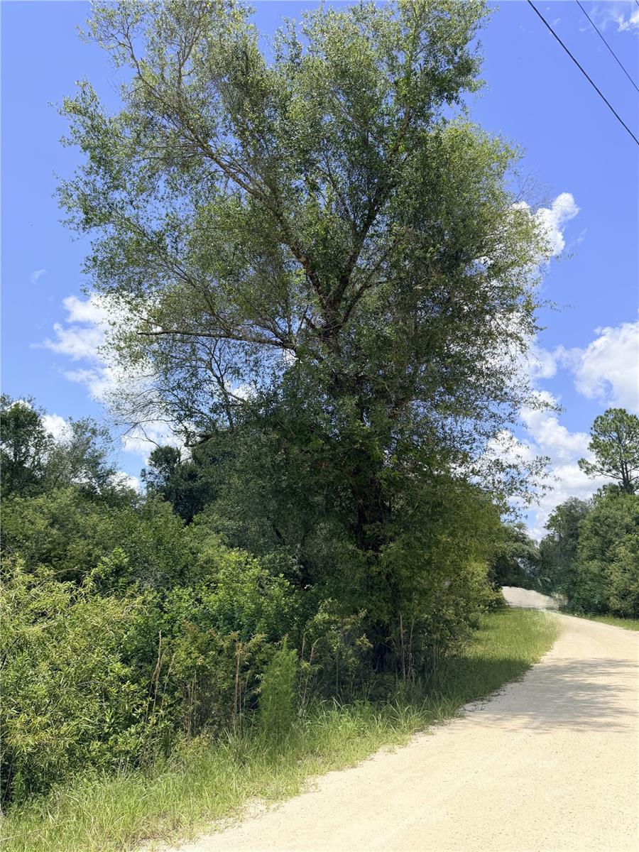LOT 10 HARDSTONE DR, WEBSTER, FL — photo 3
