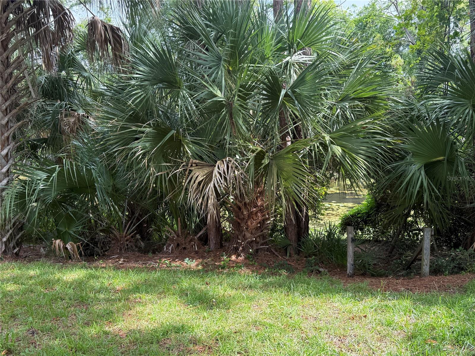 49 PROVIDENCE LN #B, PALM COAST, FL — photo 25