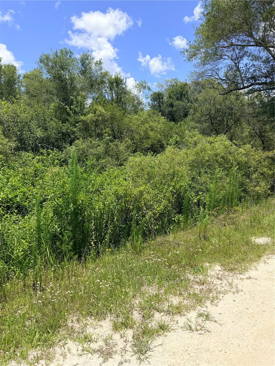 LOT 9 HARDSTONE DR, WEBSTER, FL — photo 4