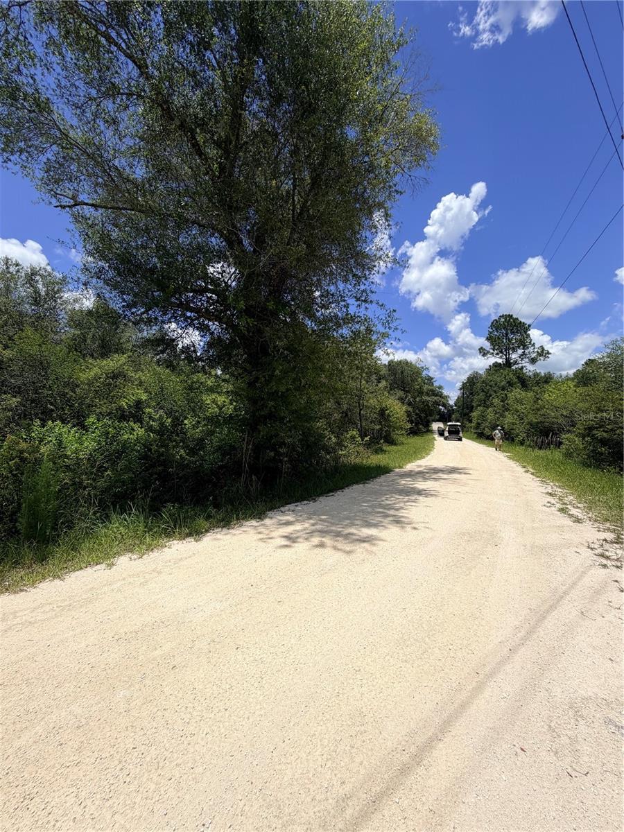 LOT 9 HARDSTONE DR, WEBSTER, FL — photo 5