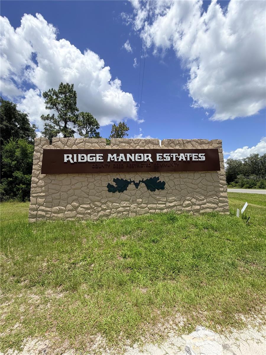 LOT 9 HARDSTONE DR, WEBSTER, FL — photo 6