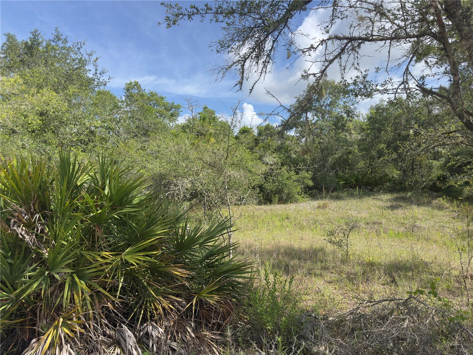 8389 SW 155TH ST, DUNNELLON, FL — photo 6