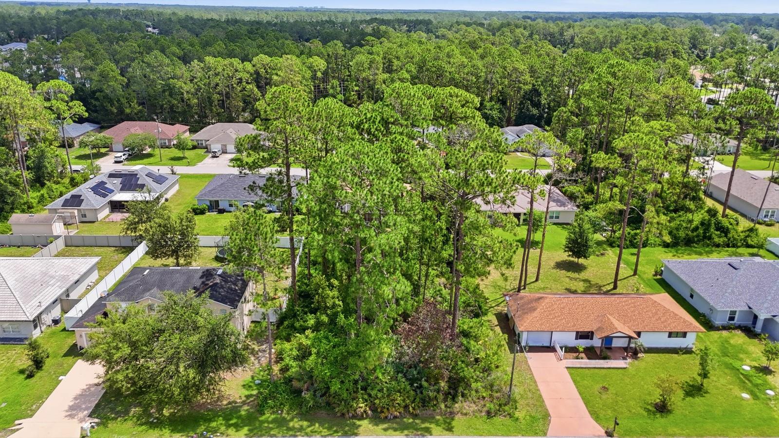 13 RYALL LN, PALM COAST, FL — photo 5