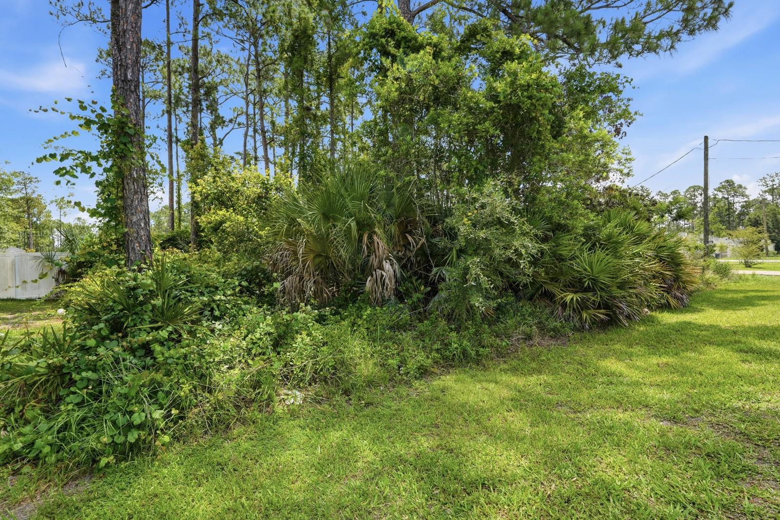 13 RYALL LN, PALM COAST, FL — photo 11