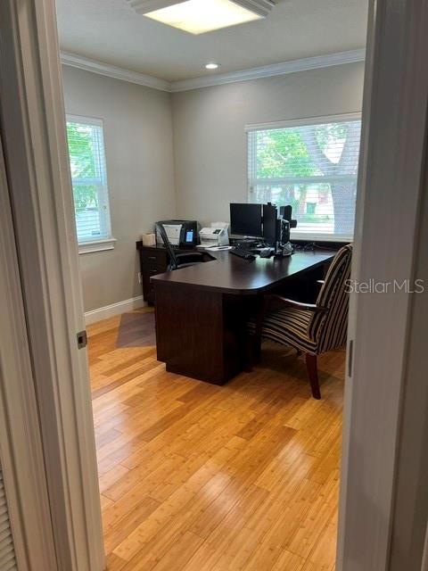 1202 N ARMENIA AVE, TAMPA, FL — photo 13