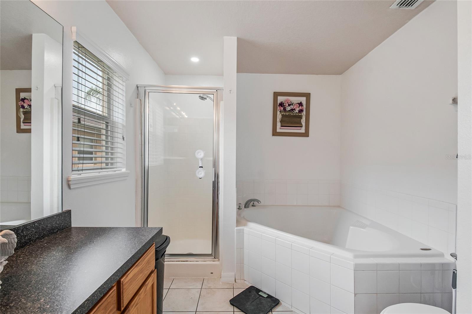 1228 SANDY RIDGE DR, DAVENPORT, FL — photo 19