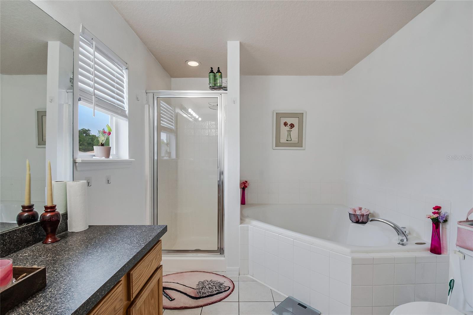 1228 SANDY RIDGE DR, DAVENPORT, FL — photo 20