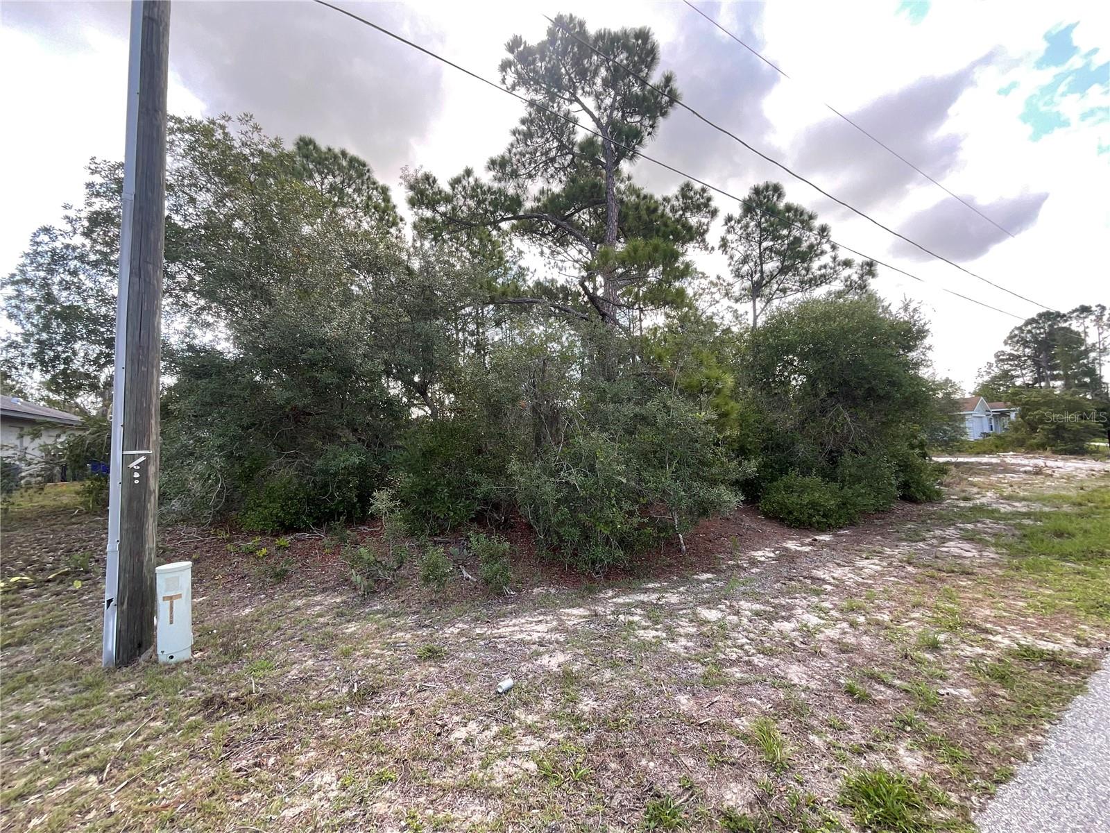 515 CONCERT DR, LAKE PLACID, FL