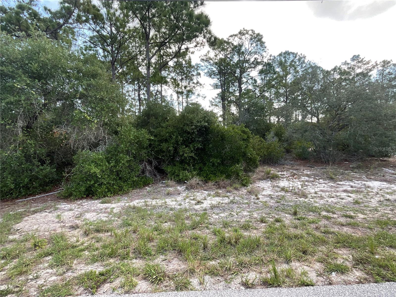 515 CONCERT DR, LAKE PLACID, FL — photo 2