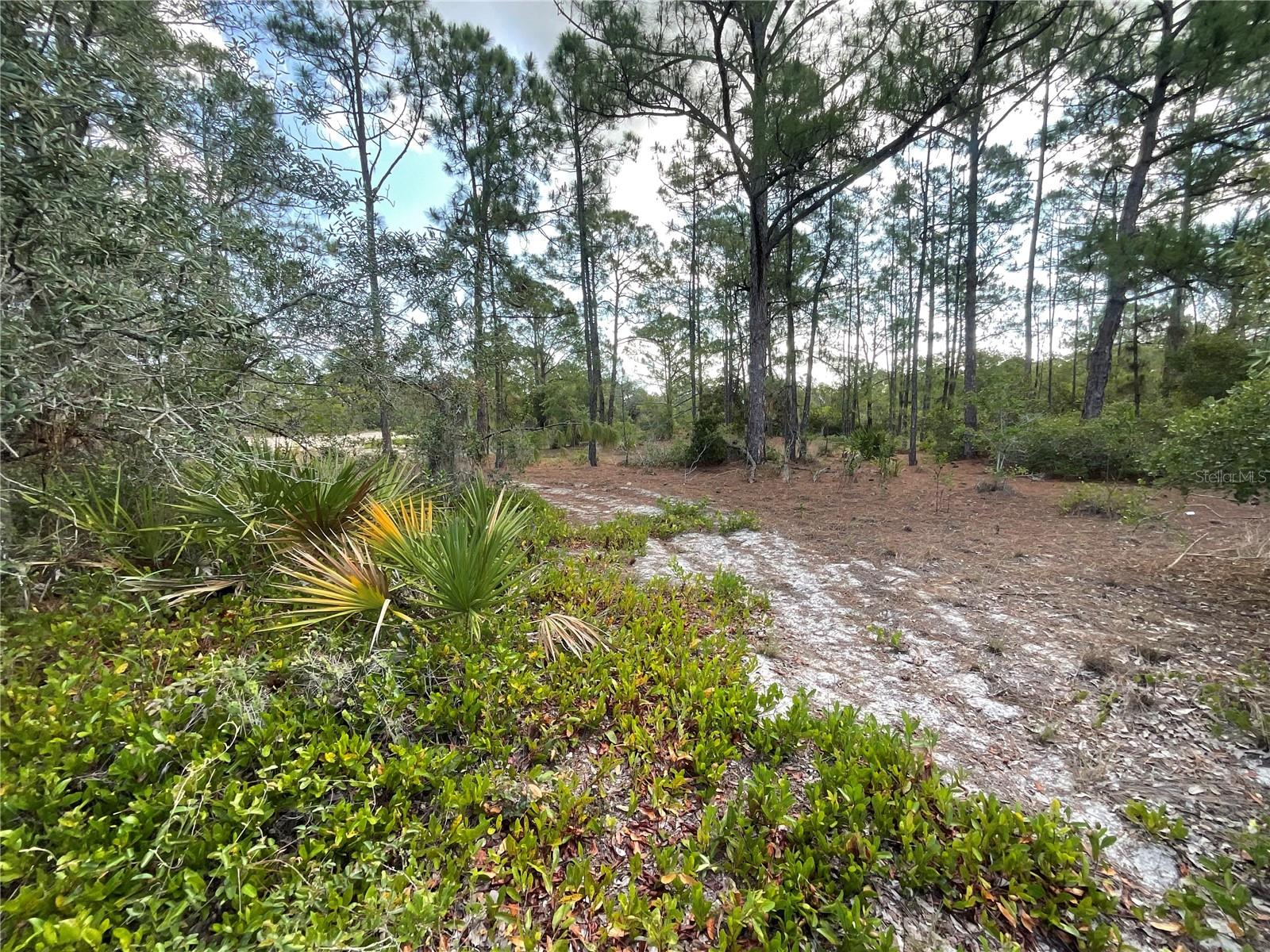 515 CONCERT DR, LAKE PLACID, FL — photo 3