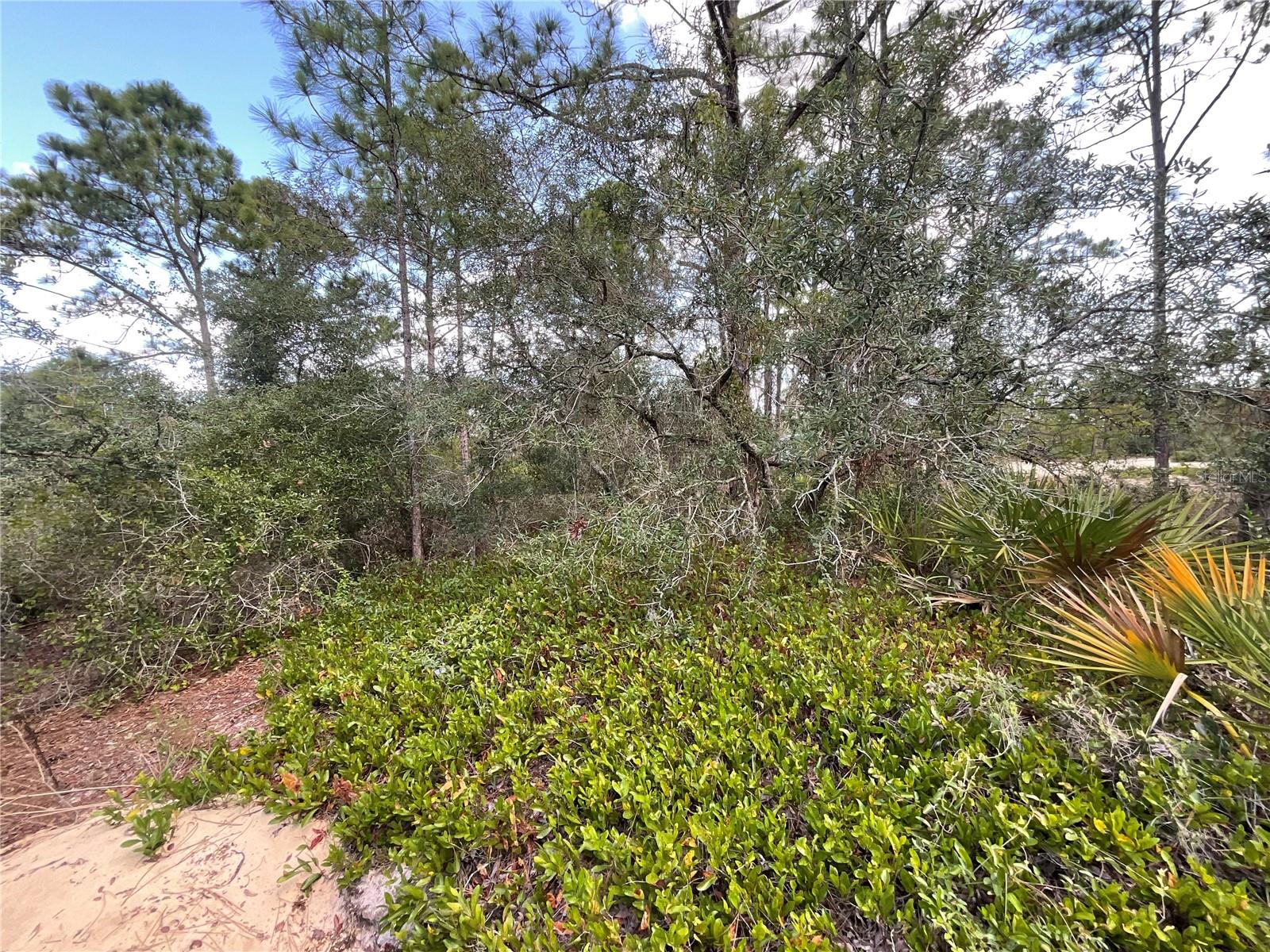 515 CONCERT DR, LAKE PLACID, FL — photo 4