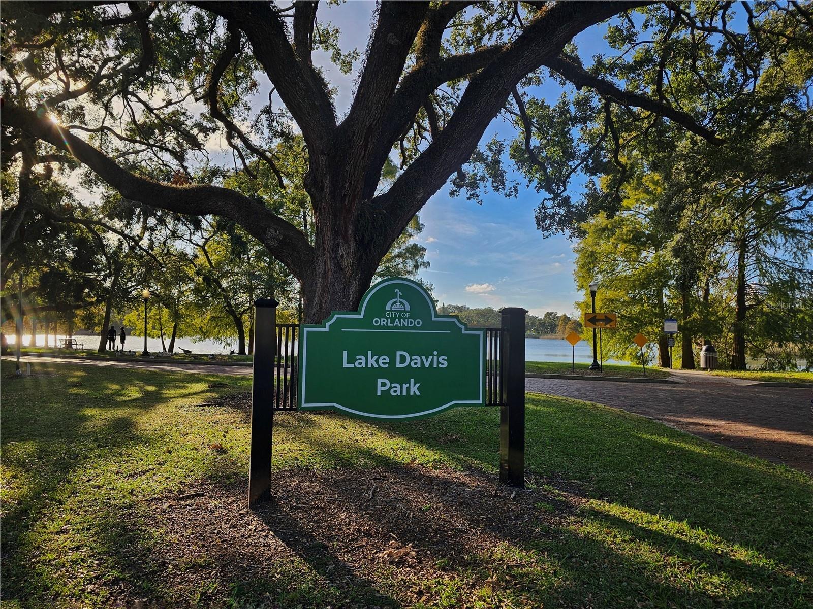 1505 CATHERINE ST, ORLANDO, FL — photo 57