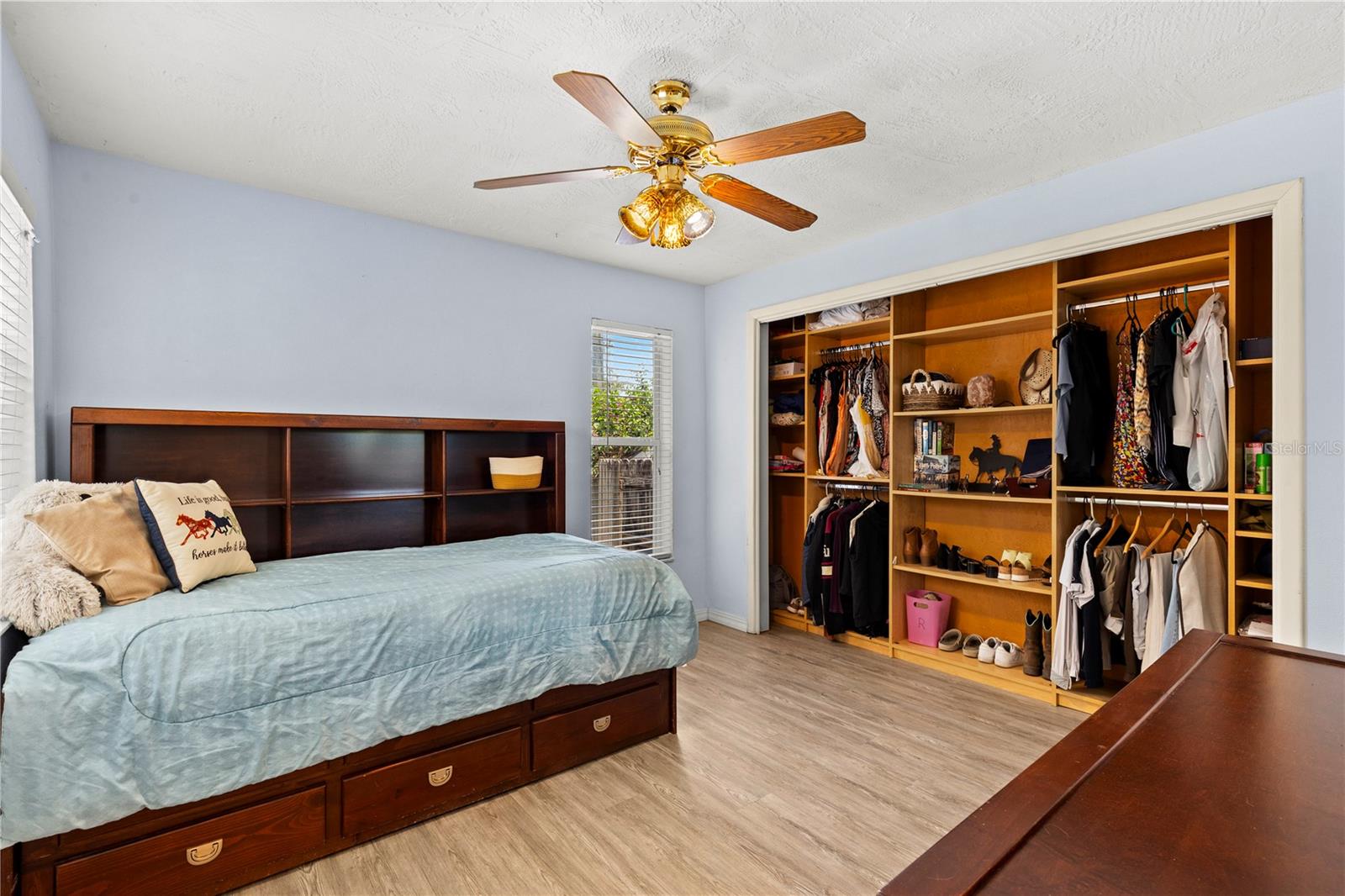 3153 CARLOS DR, DUNEDIN, FL — photo 19