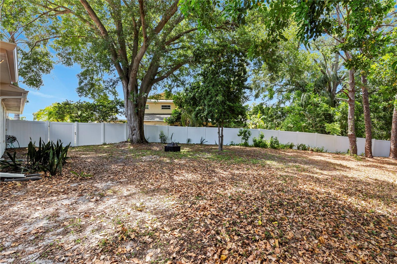 3153 CARLOS DR, DUNEDIN, FL — photo 35