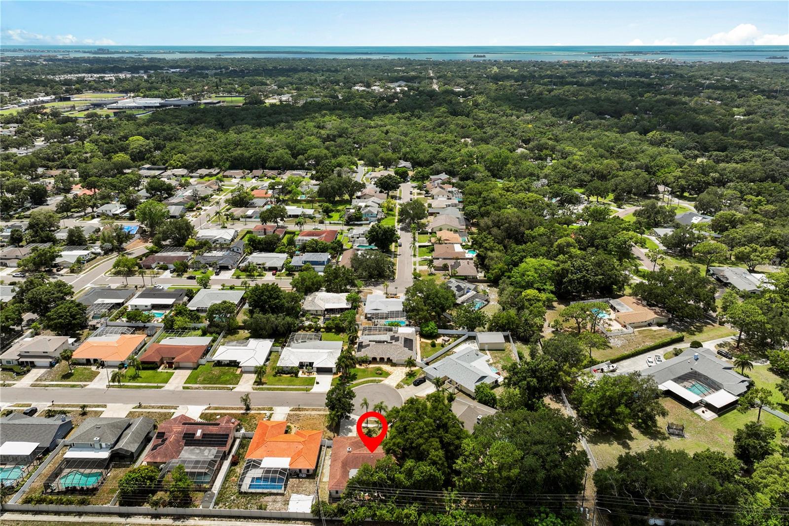 3153 CARLOS DR, DUNEDIN, FL — photo 37