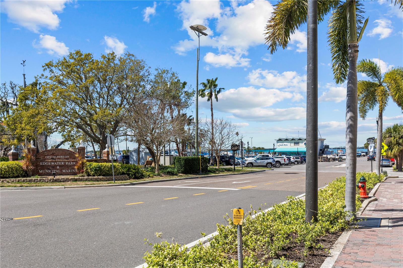 3153 CARLOS DR, DUNEDIN, FL — photo 41