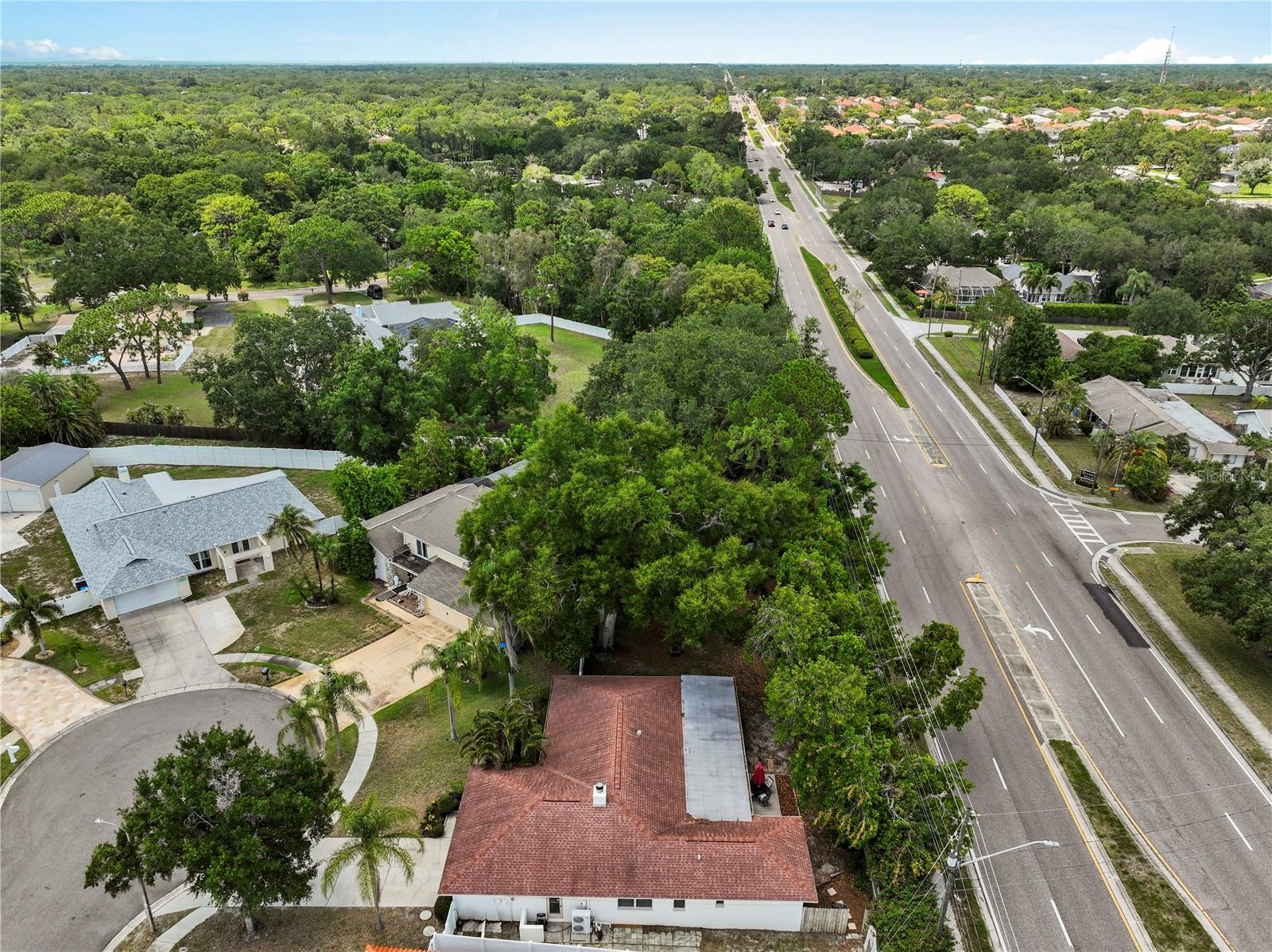 3153 CARLOS DR, DUNEDIN, FL — photo 43