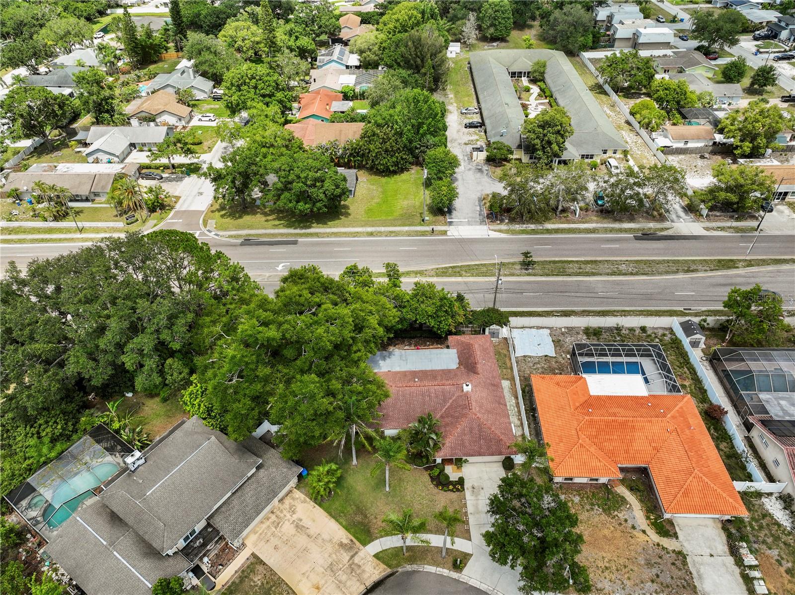 3153 CARLOS DR, DUNEDIN, FL — photo 44