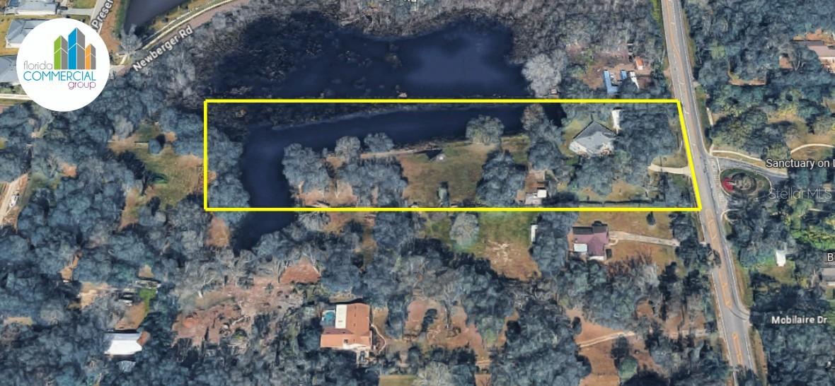 19616 LIVINGSTON AVE, LUTZ, FL