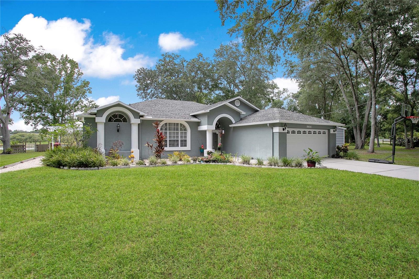 19616 LIVINGSTON AVE, LUTZ, FL — photo 7