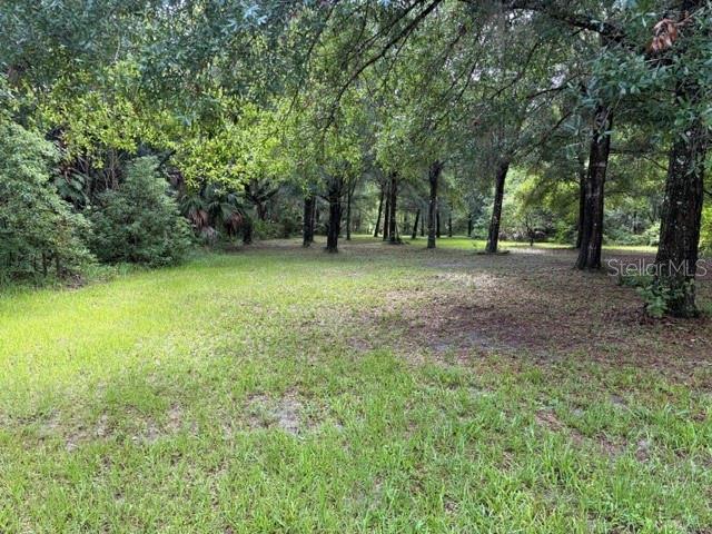 1555 CHURCH ST, PIERSON, FL — photo 19
