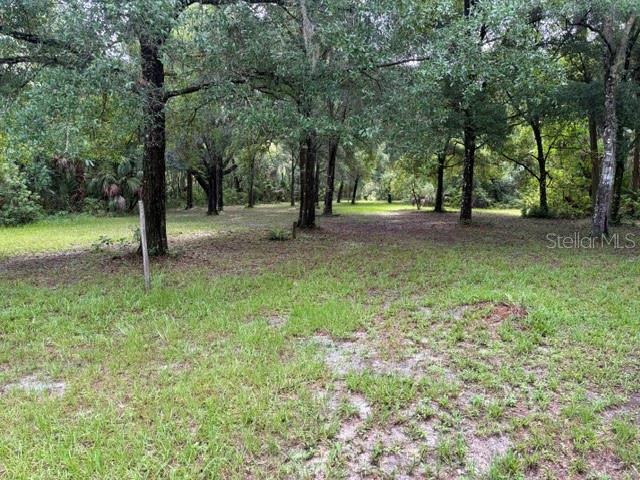 1555 CHURCH ST, PIERSON, FL — photo 20