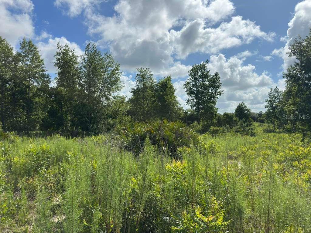 TBD MARION OAKS BLVD, OCALA, FL — photo 5
