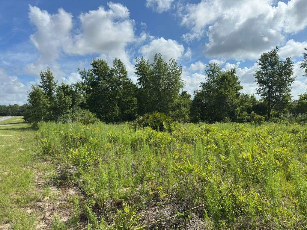 TBD MARION OAKS BLVD, OCALA, FL — photo 6