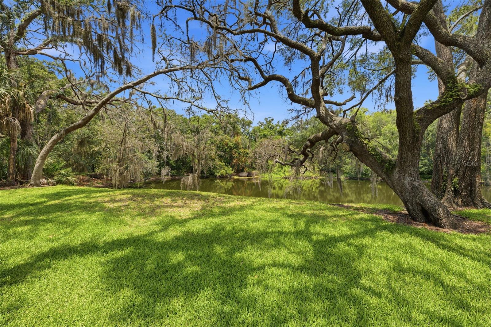 11844 SKYLAKE PL, TAMPA, FL — photo 20