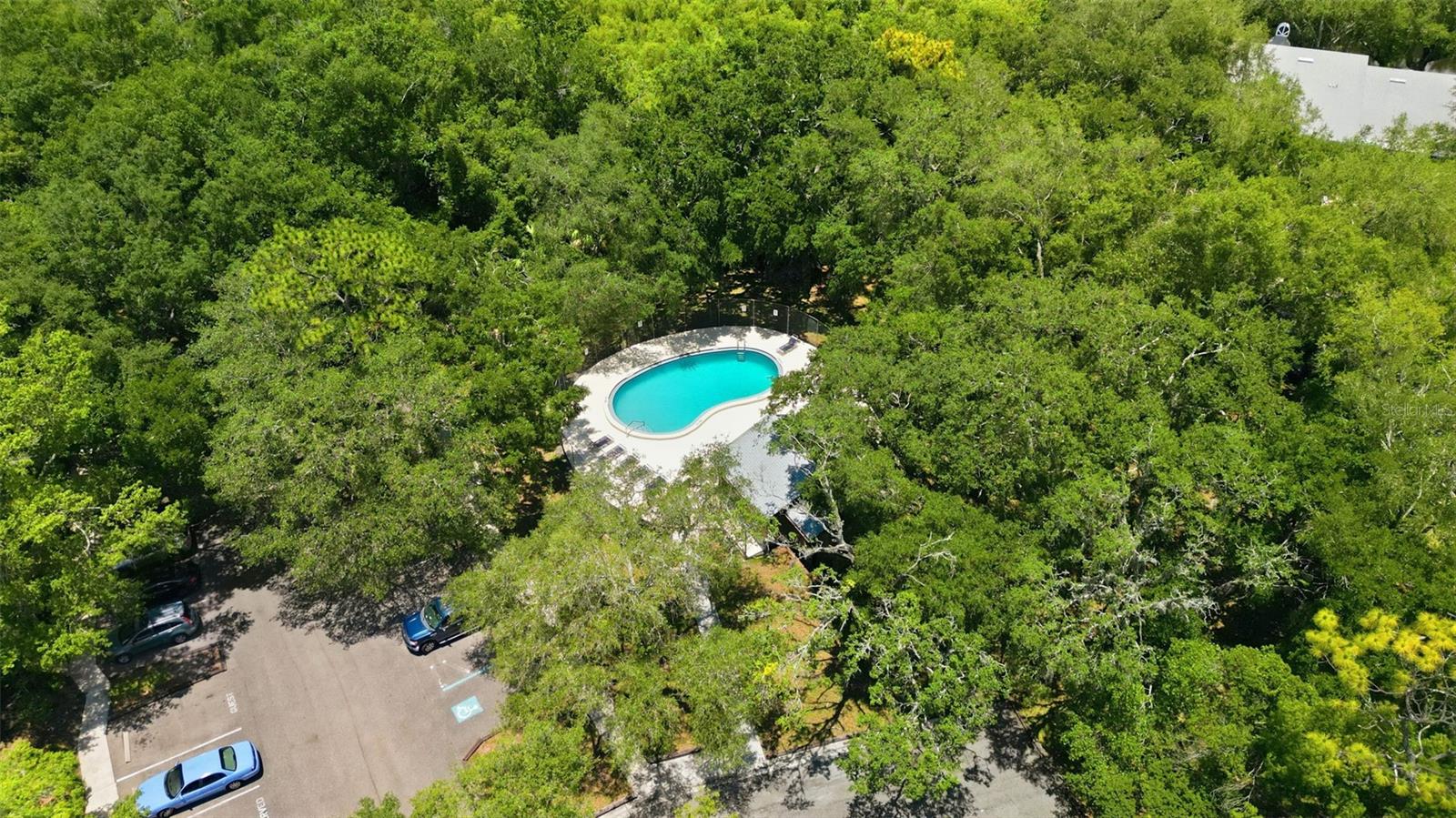 11844 SKYLAKE PL, TAMPA, FL — photo 22