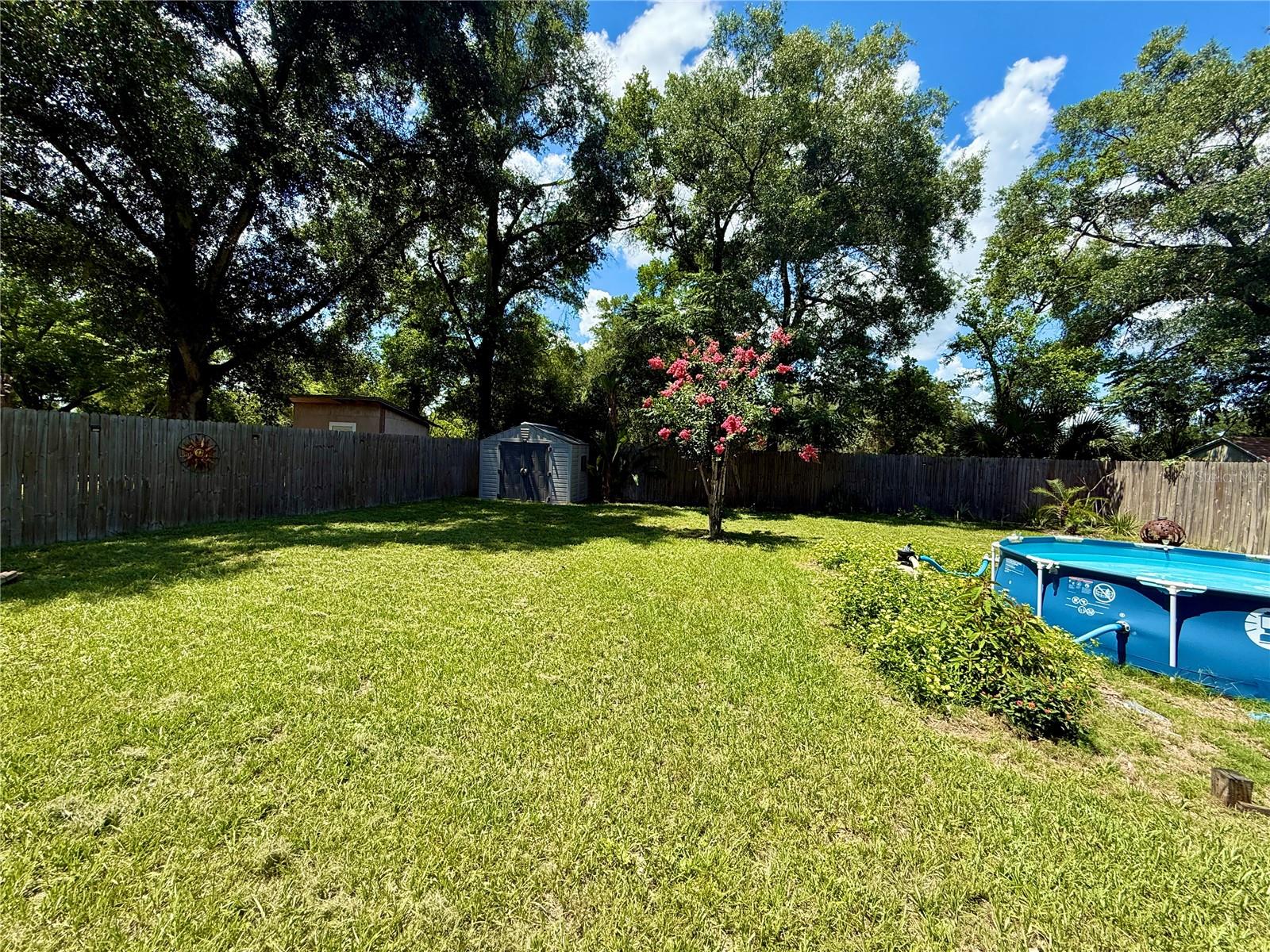 5937 UONA AVE, ORLANDO, FL — photo 3