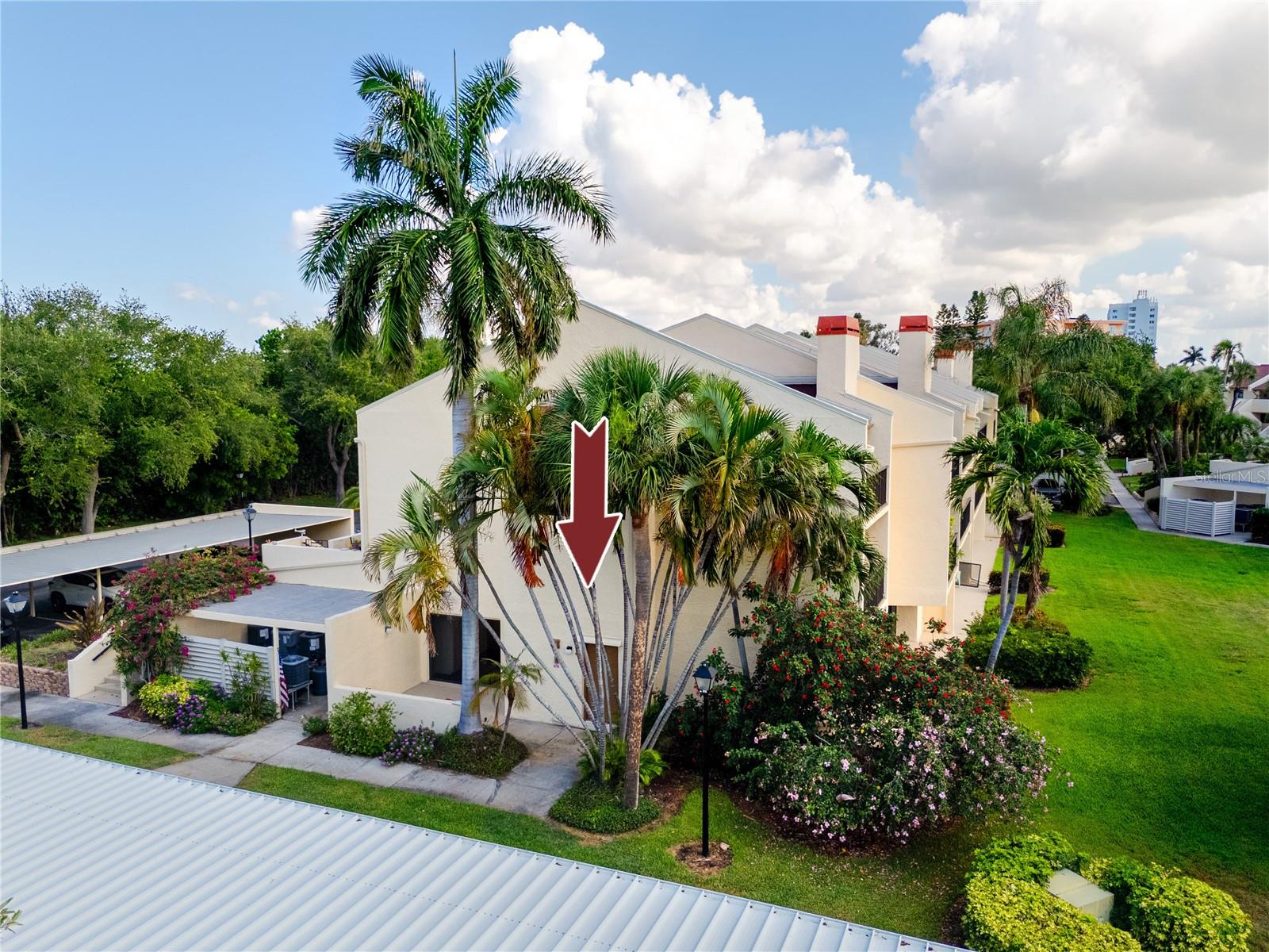 7510 SUNSHINE SKYWAY LN S #P4, ST PETERSBURG, FL — photo 53