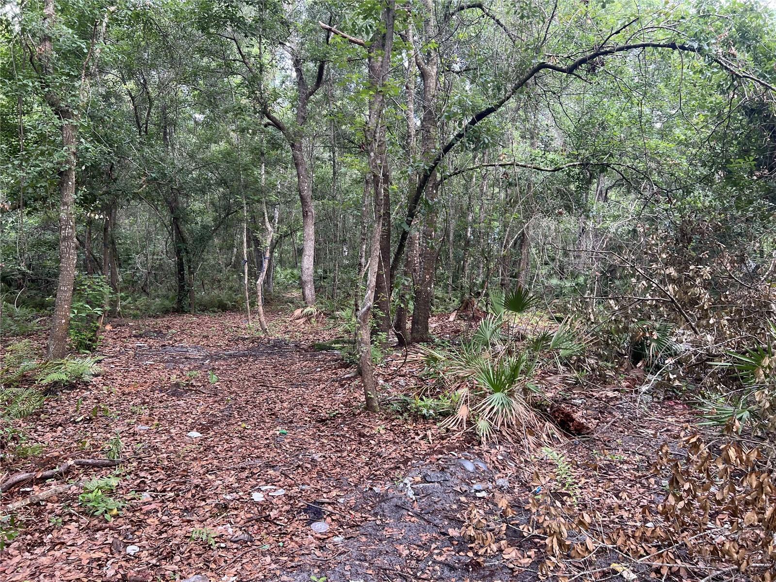 2322-2328 ROUSE RD, ORLANDO, FL — photo 3