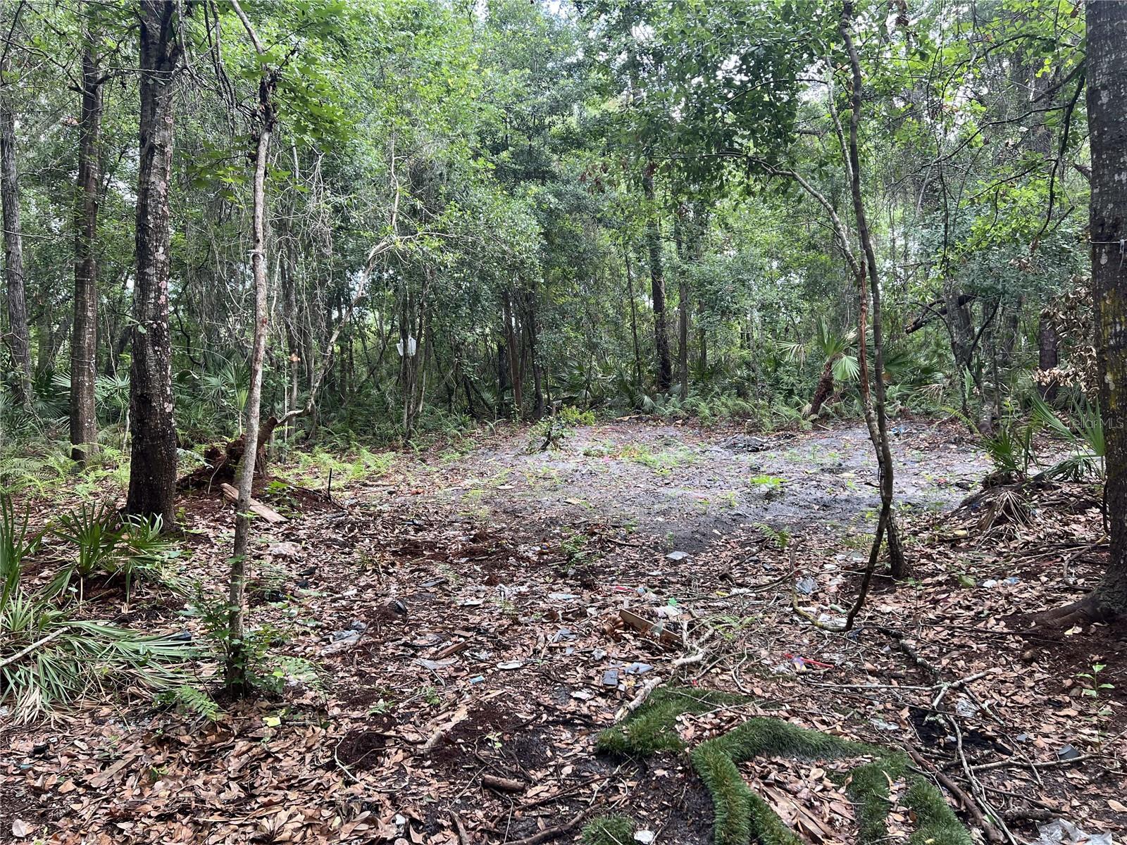 2322-2328 ROUSE RD, ORLANDO, FL — photo 4