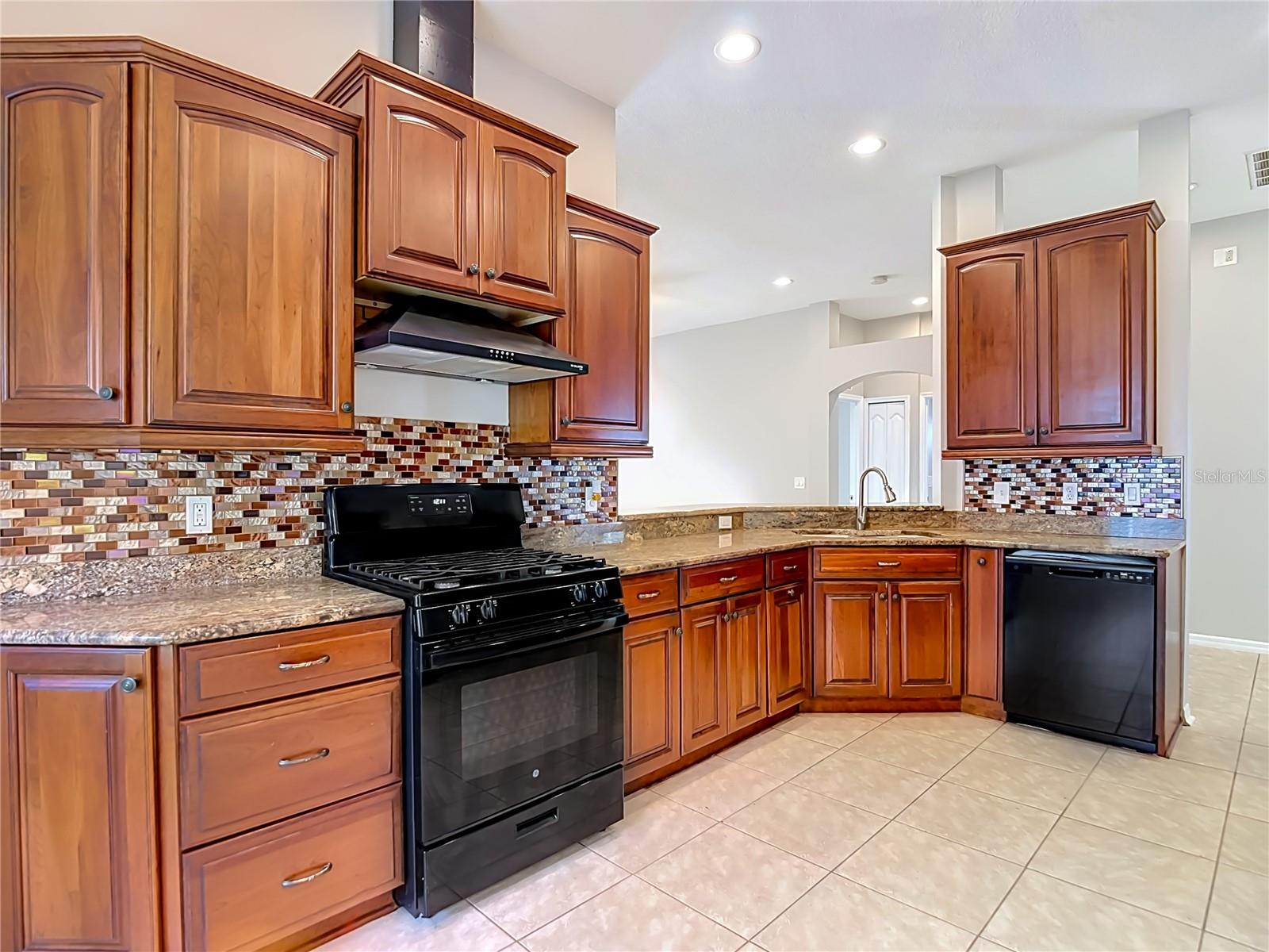 805 LESA GLEN PL, BRANDON, FL — photo 19