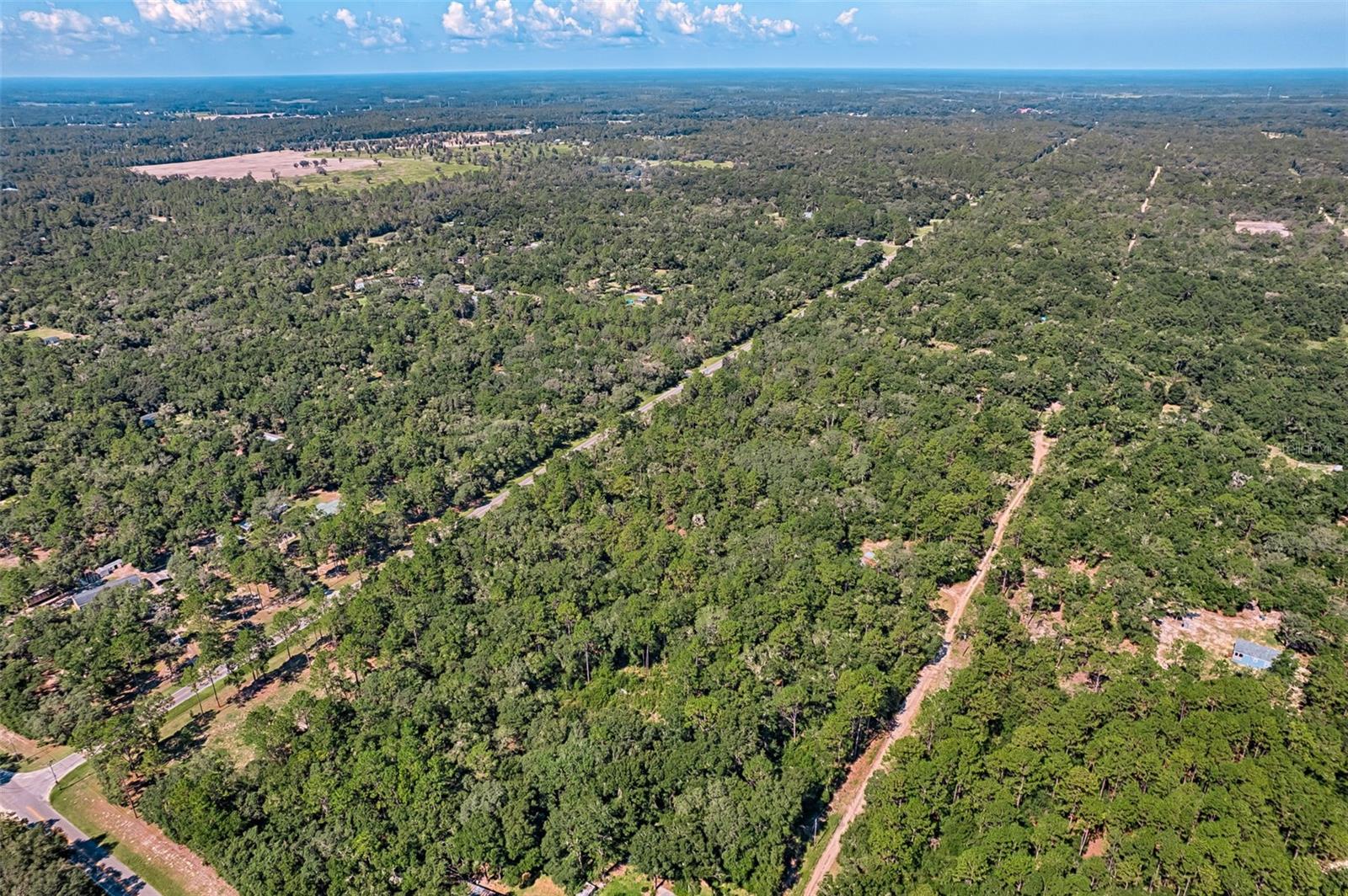 000 NE 82ND PL, BRONSON, FL