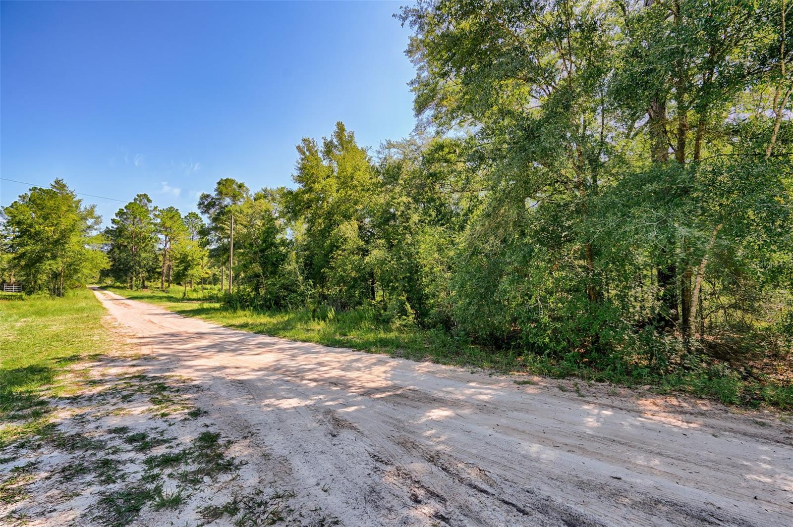 000 NE 82ND PL, BRONSON, FL — photo 2