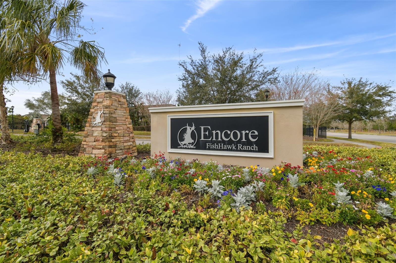 6112 WATERCOLOR DR, LITHIA, FL — photo 57